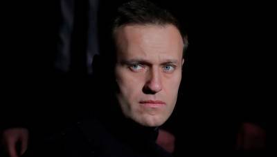 Алексей Навальный - Юлий Навальная - В квартирах Навального проводят обыски - gazeta.ru - Москва
