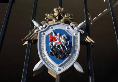Алексей Навальный - СК РФ показал видео извинений тиктокера, пнувшего автомобиль ФСБ на протесте 23 января - argumenti.ru