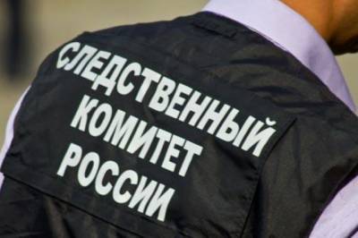 Против сотрудников ребцентра под Красноярском возбудили дело - aif.ru - Красноярский край - Красноярск - респ. Хакасия