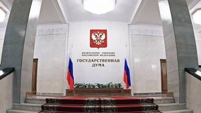 Сергей Калашников - На сайте Госдумы начали публиковать сведения о запросах депутатов - russian.rt.com
