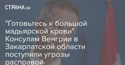 Петер Сийярто - Дмитрий Кулеба - "Готовьтесь к большой мадьярской крови". Консулам Венгрии в Закарпатской области поступили угрозы расправой - strana.ua - Венгрия - Закарпатская обл.