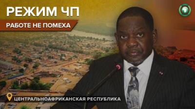 Глава правительства ЦАР провел серию совещаний по вопросам безопасности - riafan.ru - Камерун - Минуск