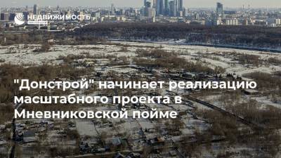 "Донстрой" начинает реализацию масштабного проекта в Мневниковской пойме - realty.ria.ru - Москва