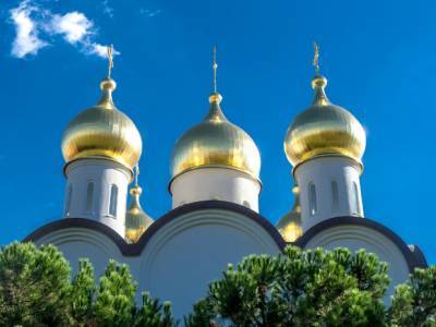 Максим Козлов - В РПЦ прокомментировали прокатившиеся по стране протесты - rosbalt.ru - Москва