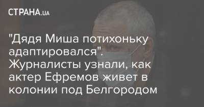 Михаил Ефремов - "Дядя Миша потихоньку адаптировался". Журналисты узнали, как актер Ефремов живет в колонии под Белгородом - strana.ua - Белгород