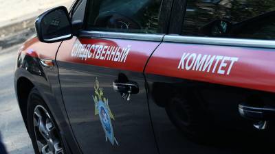 Жителя Благовещенска задержали по подозрению в убийстве матери - iz.ru - Благовещенск