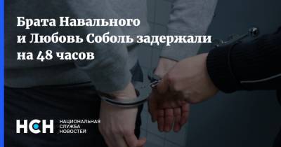 Любовь Соболь - Алексей Навальный - Иван Жданов - Владимир Воронин - Олег Навальный - Брата Навального и Любовь Соболь задержали на 48 часов - nsn.fm