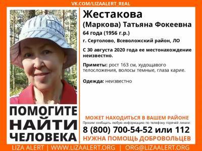 В Ленобласти пять месяцев ищут без вести пропавшую 64-летнюю женщину - ivbg.ru - Ленинградская обл.