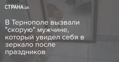 В Тернополе вызвали "скорую" мужчине, который увидел себя в зеркало после праздников - strana.ua - Тернополь