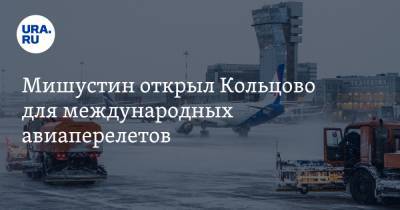 Михаил Мишустин - Мишустин открыл Кольцово для международных авиаперелетов. Список стран - ura.news - Екатеринбург - Белоруссия - Киргизия