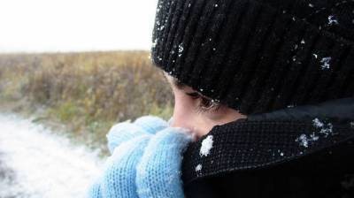 Пропавшую две недели назад 17-летнюю липчанку нашли под Воронежем - vestivrn.ru - Воронеж - Воронежская обл. - Липецкая обл.