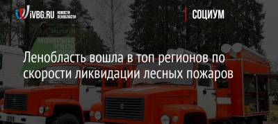Ленобласть вошла в топ регионов по скорости ликвидации лесных пожаров - ivbg.ru - Ленинградская обл.