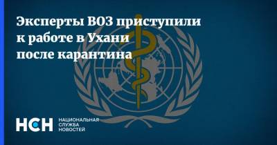 Эксперты ВОЗ приступили к работе в Ухани после карантина - nsn.fm - Китай - Ухань