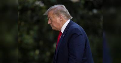Дональд Трамп - Вылитый Дональд Трамп: фотопортрет акулы произвел сенсацию в сети - fakty.ua - США - Украина - шт.Флорида