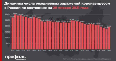 В России выявили более 19 тыс. случаев коронавируса за сутки - profile.ru - Москва - Санкт-Петербург - Московская обл.