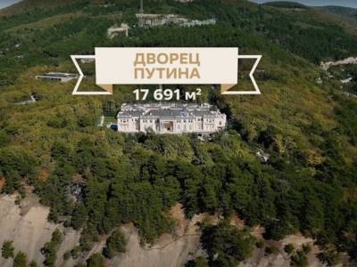 Алексей Навальный - Расследование Навального о «дворце Путина» набрало 100 млн просмотров - rosbalt.ru - Геленджик
