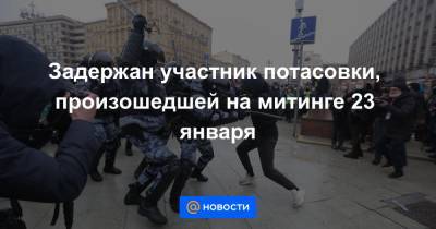 Адам Делимханов - Задержан участник потасовки, произошедшей на митинге 23 января - news.mail.ru - Москва - Псковская обл.