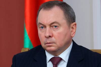 Владимир Макей - Белорусскую оппозицию обвинили в попытке установить «фашиствующую демократию» - lenta.ru - Белоруссия