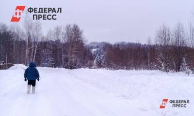 Владимир Путин - Охота на угодья: больше половины лесов Тюменской области оказались в частных руках - fedpress.ru - Тюменская обл. - район Вагайский