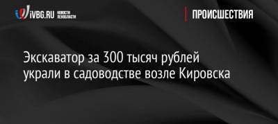 Экскаватор за 300 тысяч рублей украли в садоводстве возле Кировска - ivbg.ru - Ленинградская обл. - р-н Кировский - Кировск