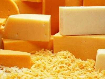 Выбираем твердый сыр в «Метро»: вкусно и полезно - vchaspik.ua