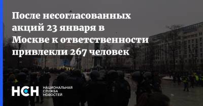 Алексей Навальный - После несогласованных акций 23 января в Москве к ответственности привлекли 267 человек - nsn.fm - Москва