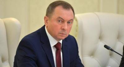 Владимир Макей - "Верх лицемерия и двуличия": в Минске оценили ситуацию с санаторием в Литве - obzor.lt - Белоруссия - Литва - Вильнюс - Минск - Брюссель