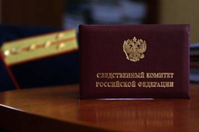 Глава СК РФ возбудил дело на судью Новосибирского областного суда - aif.ru - Новосибирск