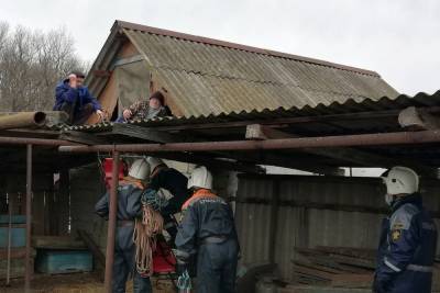 Кубанские спасатели помогли пенсионеру спуститься с крыши - kuban.mk.ru - Краснодарский край - район Белореченский