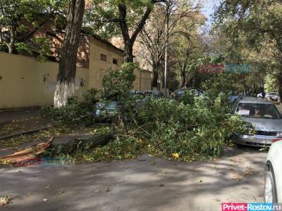 Ураганный ветер идет на Ростов - privet-rostov.ru