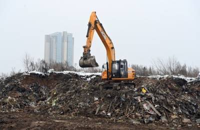 Более 20 мусорных свалок планируется ликвидировать в 2021 году в РФ - interfax-russia.ru - Россия - Московская обл.