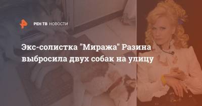 Экс-солистка "Миража" Разина выбросила двух собак на улицу - ren.tv - Владимирская обл.