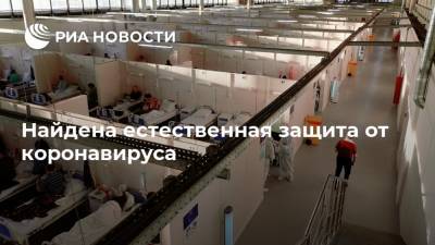 Найдена естественная защита от коронавируса - ria.ru - Москва - Бразилия - Сан-Паулу
