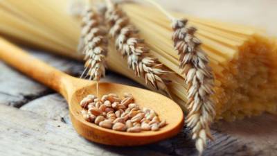 Агро - Ученые пытаются создать безглютеновую пшеницу - 24tv.ua