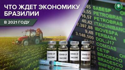 Экономика Бразилии растет вопреки пандемии и политическому кризису - riafan.ru - Бразилия