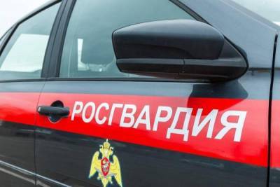В Сыктывкаре росгвардейцам пришлось реагировать на женские выходки - komiinform.ru - респ. Коми - Сыктывкар