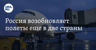 Юрий Барзыкин - Россия возобновляет полеты еще в две страны - ura.news - Москва - Финляндия - Вьетнам - Греция - Сингапур - Катар - Республика Сингапур