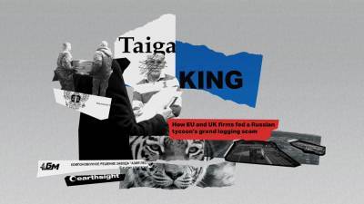 Король тайги и молчание Запада: как российский олигарх создал схему на миллиард долларов - 24tv.ua
