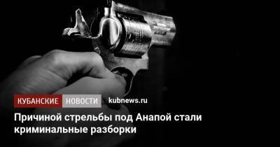 Причиной стрельбы под Анапой стали криминальные разборки - kubnews.ru - Анапа