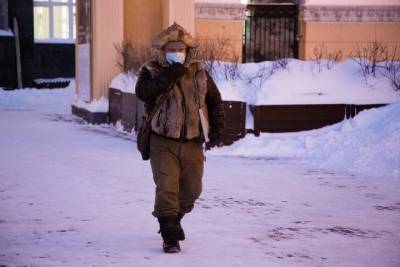 Резкое похолодание со снегом придут в Новосибирск на выходных - novos.mk.ru - Новосибирск - Новосибирская обл.