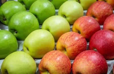 Отложенное предложение. Производители придержали 80% яблок, теперь ищут покупателей - agroportal.ua - Черновицкая обл.