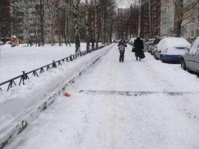 Михаил Леус - Снежная зима снова возвращается в Петербург - neva.today - Санкт-Петербург