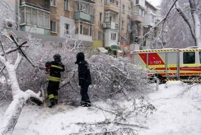 Циклон оставил без света 358 населенных пунктов Украины - kp.ua - Одесса - Одесская обл.
