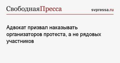 Дмитрий Аграновский - Адвокат призвал наказывать организаторов протеста, а не рядовых участников - svpressa.ru
