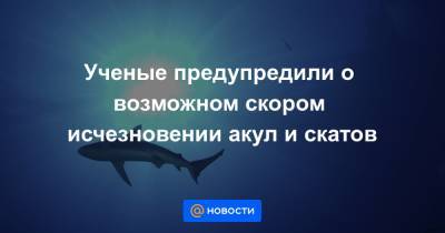 Ученые предупредили о возможном скором исчезновении акул и скатов - news.mail.ru