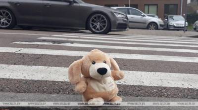 В Беларуси в 2020 году в ДТП погибли 573 человека, из них 22 ребенка - grodnonews.by - Белоруссия