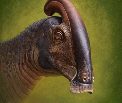 Учёные описали вид двух уникальных динозавров - inform-ua.info