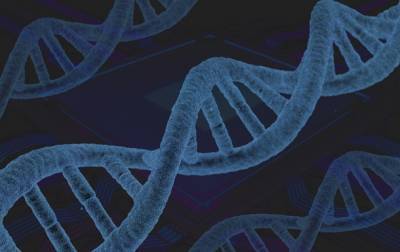 В геноме человека обнаружили новые гены, связанные с раком - korrespondent.net - США