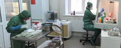 Во Владимирской области за сутки выявлено 149 случаев COVID-19 - runews24.ru - Владимирская обл. - Александровск