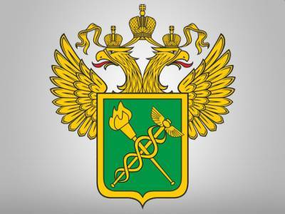 Владимир Булавин - ФТС ощутимо сократила перечисления в бюджет РФ за 2020 год - rosbalt.ru